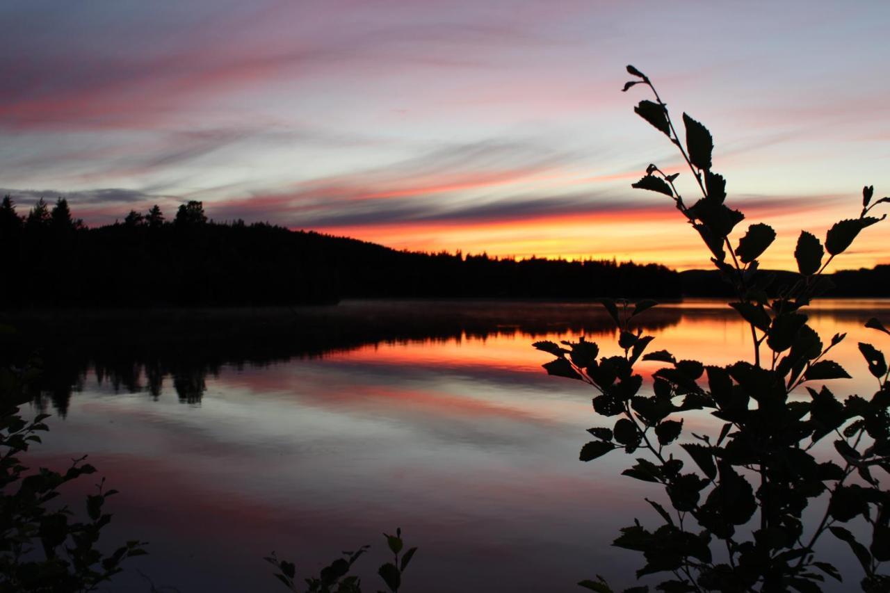 Lakeview Houses Sweden Falun Bagian luar foto